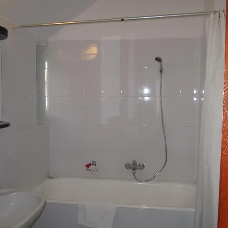 Pensiunea Helvetia Guest house