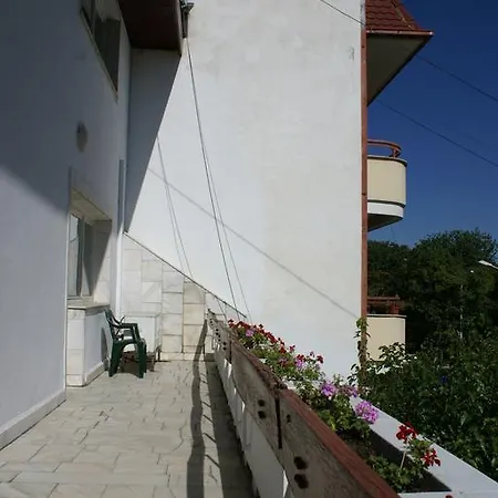 Pensiunea Helvetia Boekarest