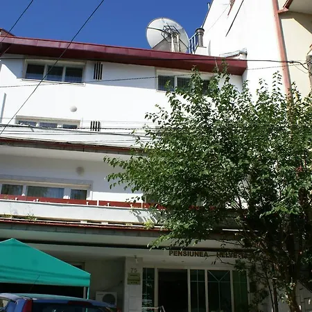 Pensiunea Helvetia Guest house 3*