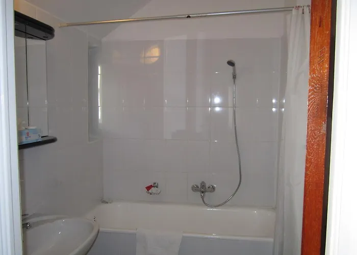 Pensiunea Helvetia Πανσιόν