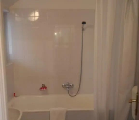 Pensiunea Helvetia 3* بوخارست