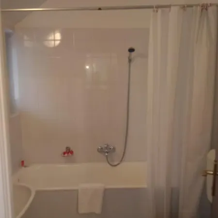 Pensiunea Helvetia 3* 부쿠레슈티