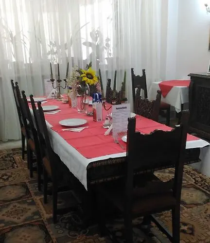 Pensiunea Helvetia Guest house